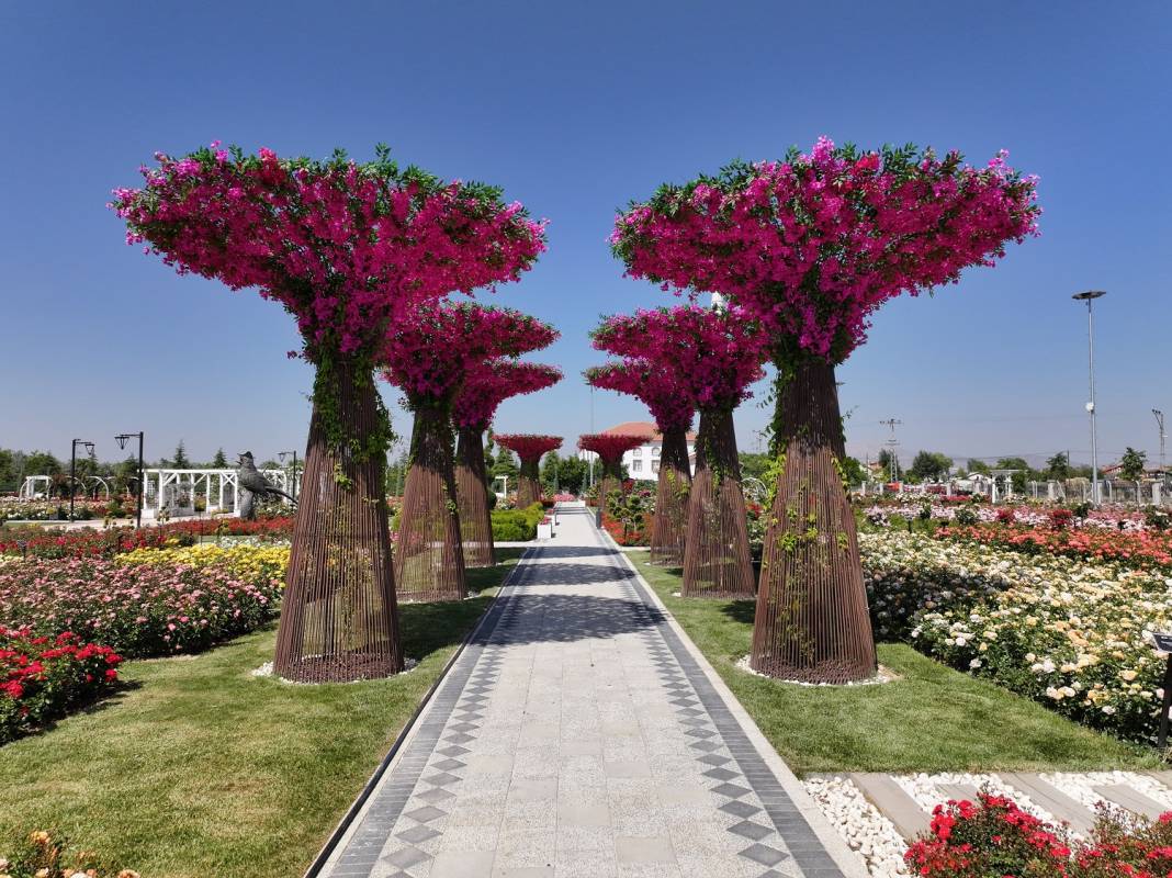 Doğanın en güzel tonları Karatay’da! Her detayıyla hayran bırakıyor 16